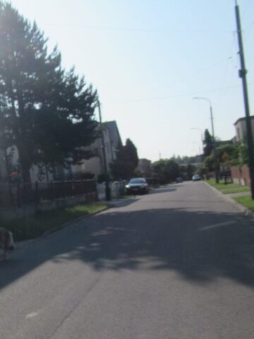 Agresywny pies w Tarnowskich Górach Agresywny pies w Tarnowskich Górach