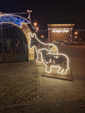 Park Rubina w Miasteczku Śląskim Park Rubina w Miasteczku Śląskim