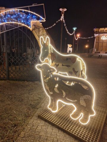 Park Rubina w Miasteczku Śląskim Park Rubina w Miasteczku Śląskim