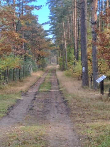Ścieżka edukacyjna w Miasteczku Śląskim Ścieżka edukacyjna w Miasteczku Śląskim