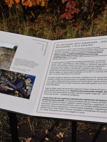 Ścieżka edukacyjna w Miasteczku Śląskim Ścieżka edukacyjna w Miasteczku Śląskim