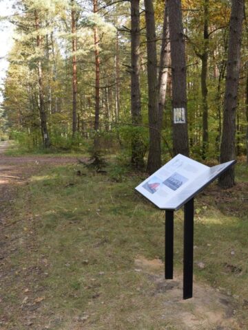 Ścieżka edukacyjna w Miasteczku Śląskim Ścieżka edukacyjna w Miasteczku Śląskim