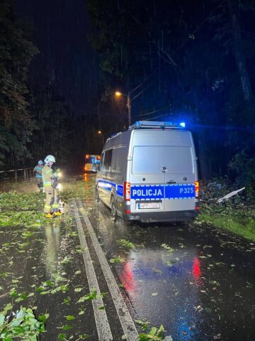 Interwencje w gminie Zbrosławice Interwencje w gminie Zbrosławice