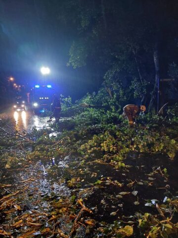 Interwencje w gminie Zbrosławice Interwencje w gminie Zbrosławice