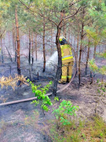 Pożar lasu w Tworogu Pożar lasu w Tworogu