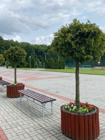 Basen na Księżej Górze w Radzionkowie Basen na Księżej Górze w Radzionkowie