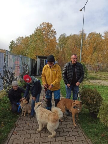 Dzień Kundelka w Tarnowskich Górach Dzień Kundelka w Tarnowskich Górach