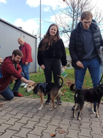 Dzień Kundelka w Tarnowskich Górach Dzień Kundelka w Tarnowskich Górach
