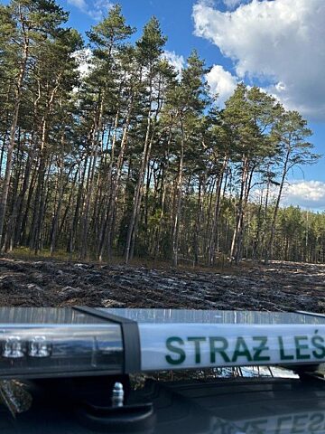 Wspólne patrole Policji i Straży Leśnej Wspólne patrole Policji i Straży Leśnej