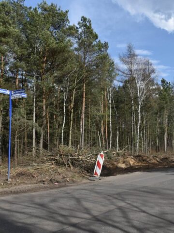 Przebudowa ulicy Grzybowej w Tarnowskich Górach Przebudowa ulicy Grzybowej w Tarnowskich Górach