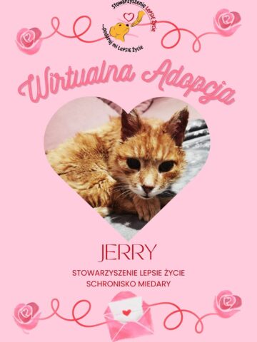 Walentynkowa edycja wirtualnej adopcji w Miedarach Walentynkowa edycja wirtualnej adopcji w Miedarach