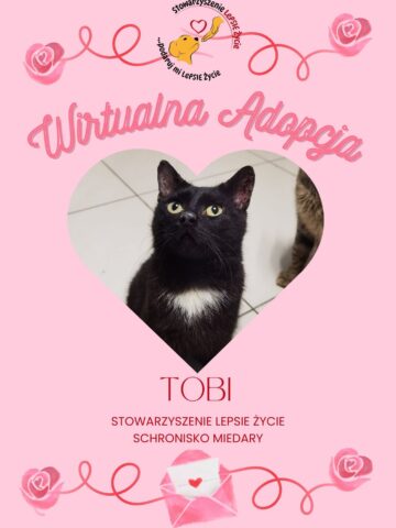 Walentynkowa edycja wirtualnej adopcji w Miedarach Walentynkowa edycja wirtualnej adopcji w Miedarach