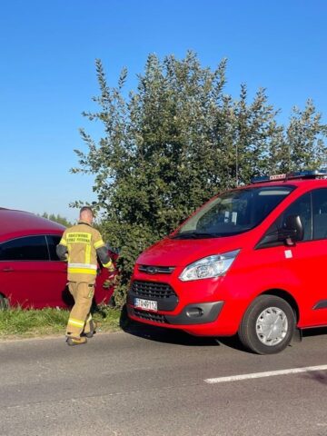 Zdarzenie drogowe w Ptakowicach Zdarzenie drogowe w Ptakowicach