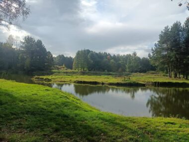 Gierzyna w Miasteczku Śląskim