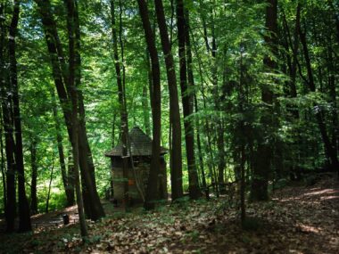 Uwaga na ulotki w sprawie rezerwatu w Parku Repeckim Park repecki tarnowskie gory 5