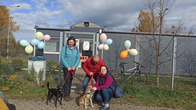 Dzień Kundelka w Tarnowskich Górach Dzień Kundelka w Tarnowskich Górach