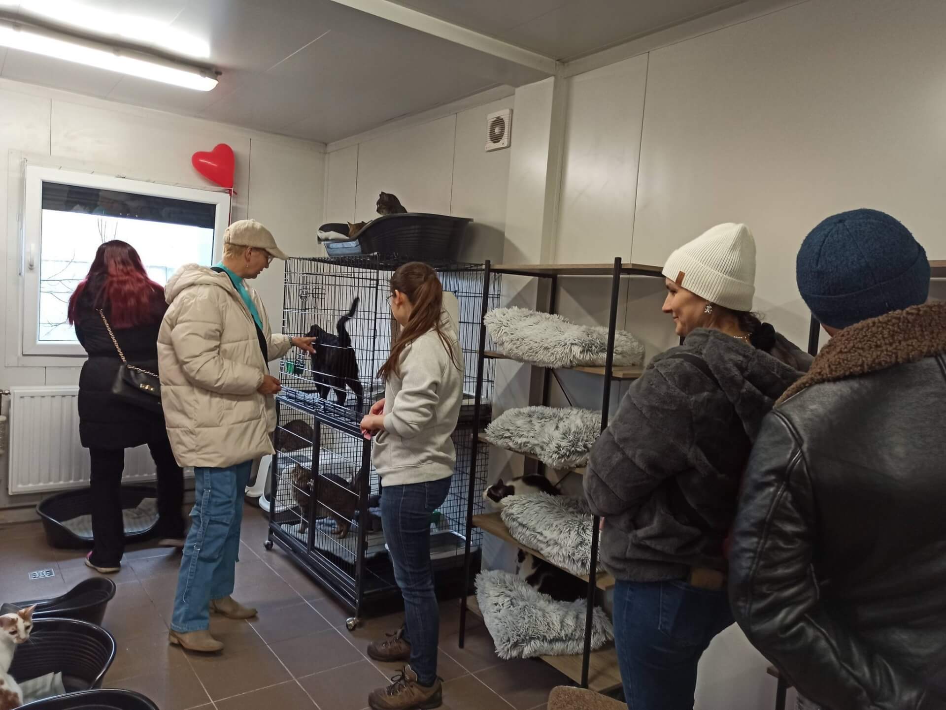 Walentynki w Azylu dla zwierząt "Cichy Kąt"
