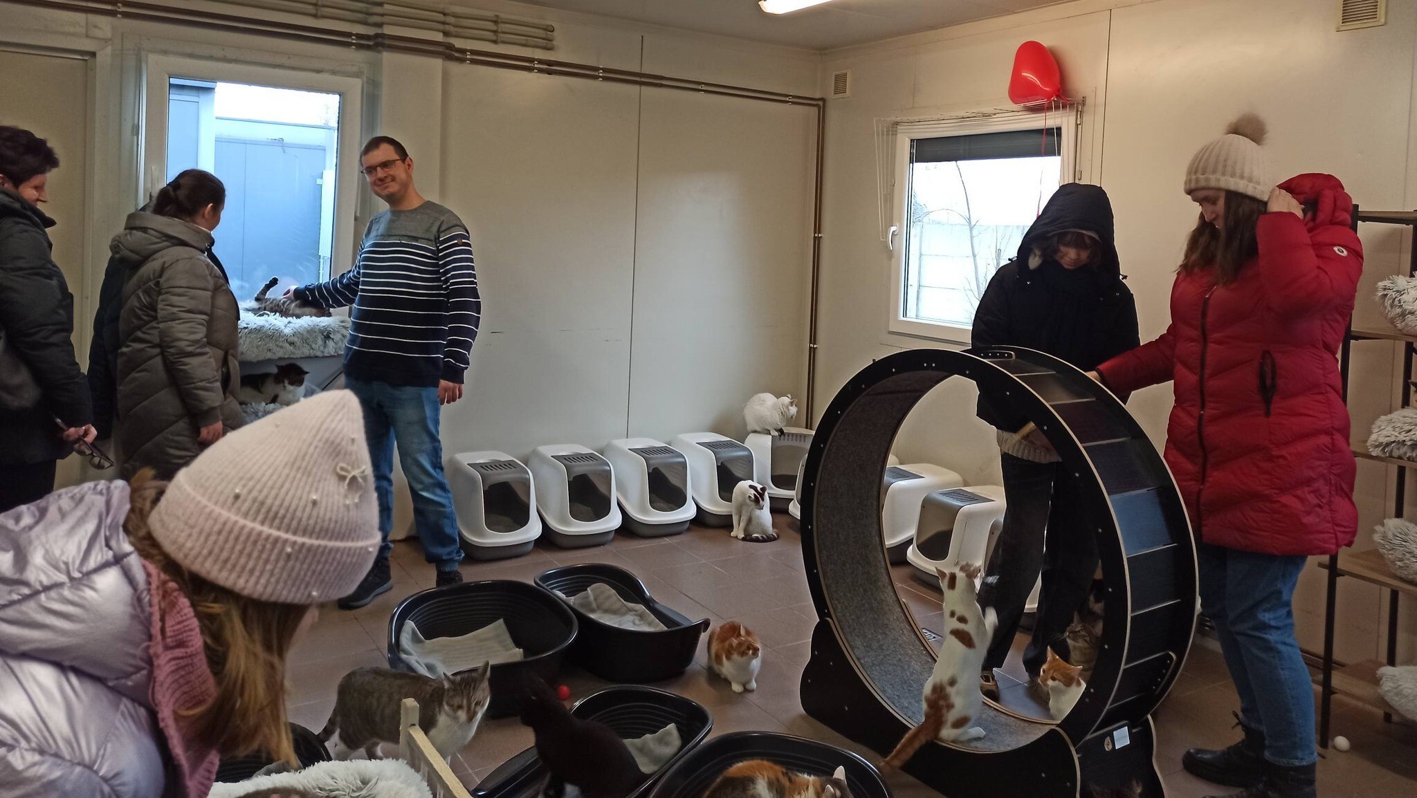 Walentynki w Azylu dla zwierząt "Cichy Kąt"