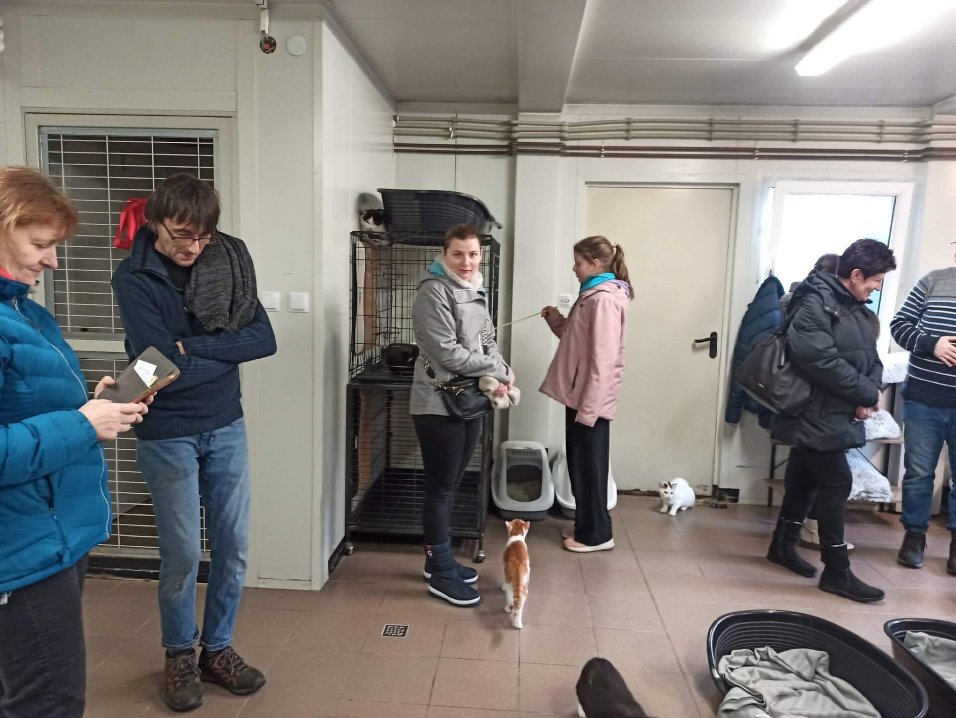 Walentynki w Azylu dla zwierząt "Cichy Kąt"