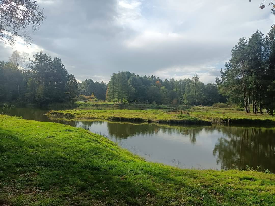 Gierzyna w Miasteczku Śląskim
