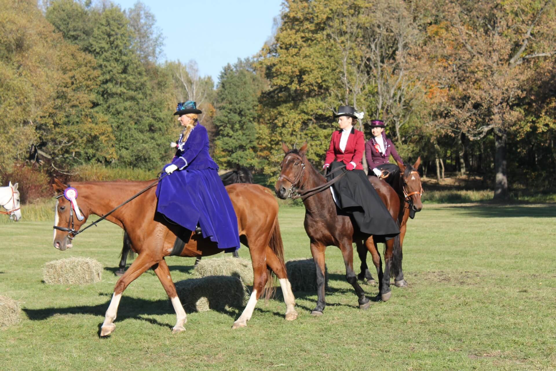 Hubertus Kawaleryjski w Świerklańcu