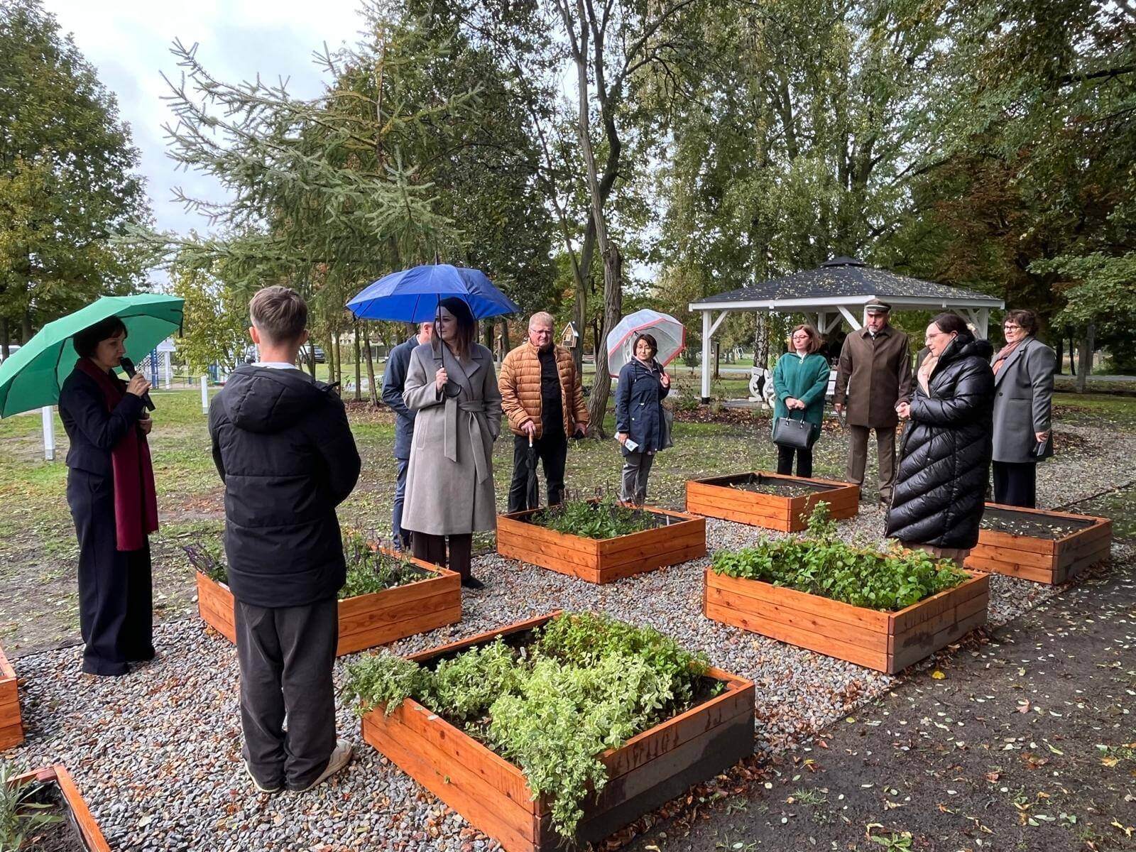 Ekopracownia pod chmurką w Boruszowicach