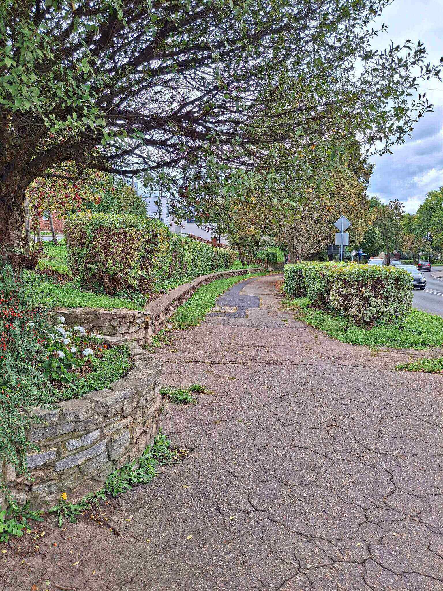 Budowa ciągu pieszo-rowerowego wzdłuż ul. Kużaja