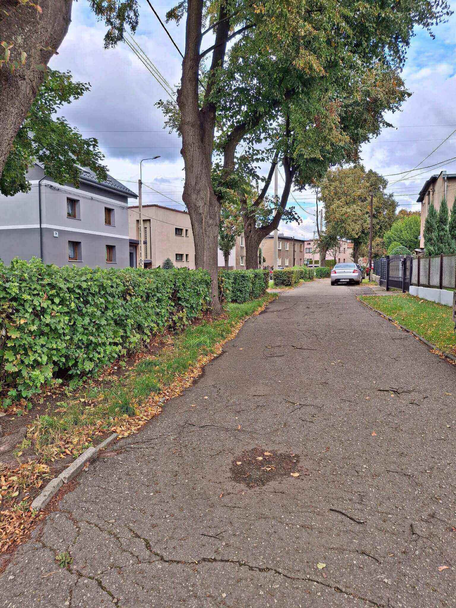 Budowa ciągu pieszo-rowerowego wzdłuż ul. Kużaja