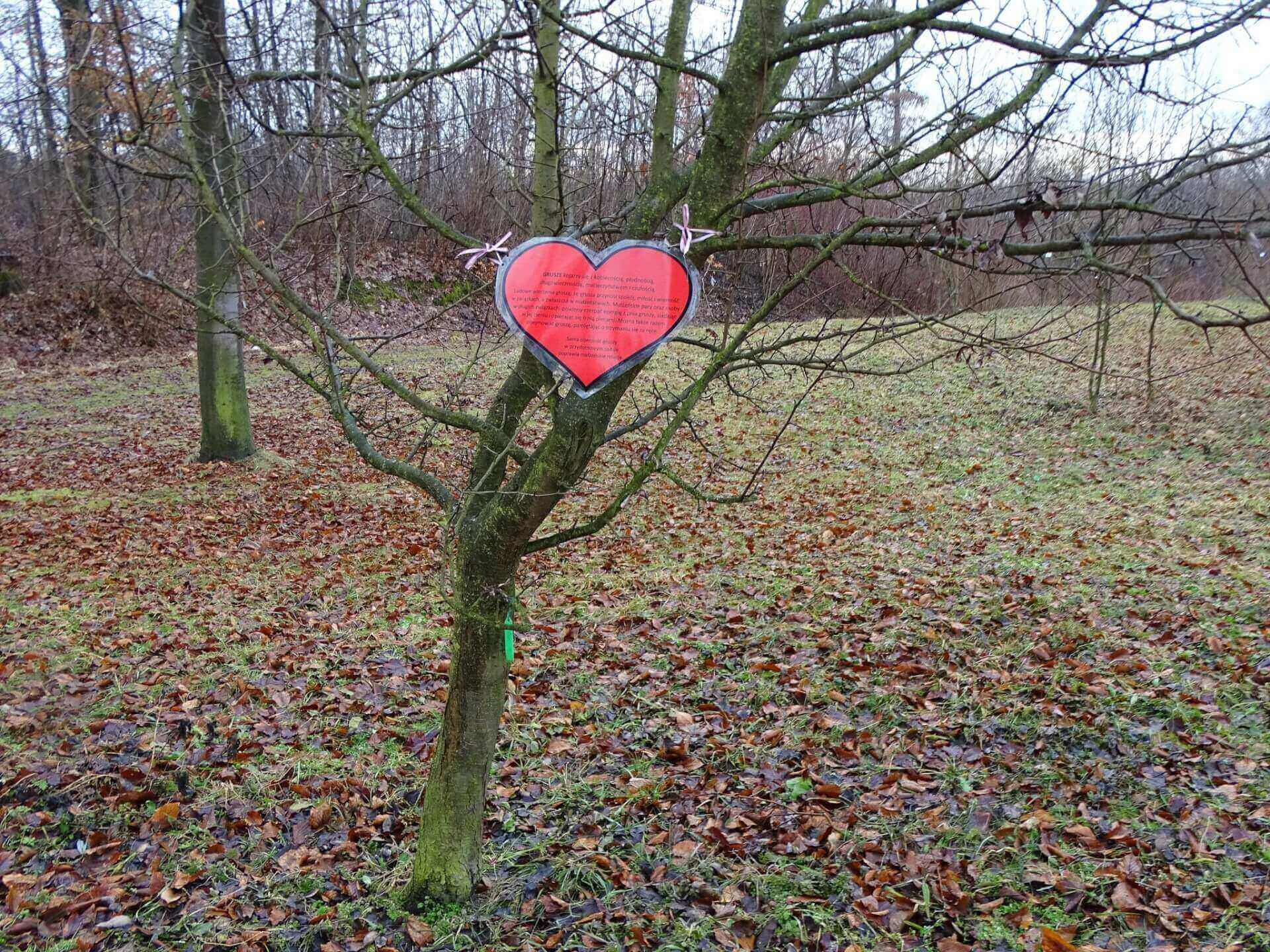 Walentynki w Radzionkowie