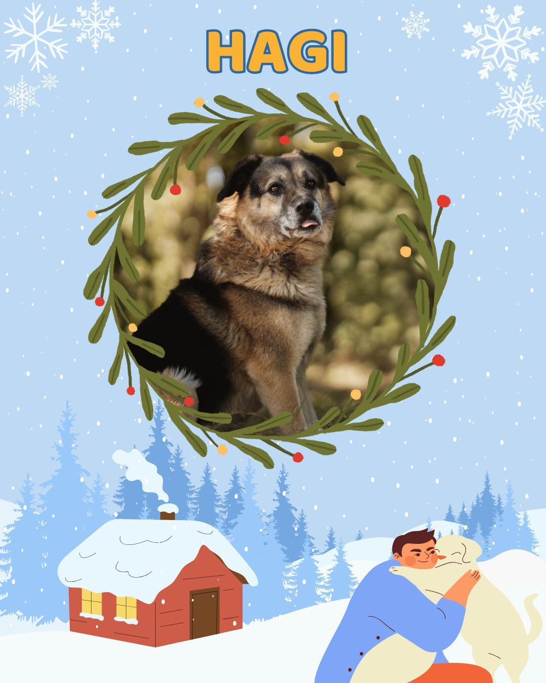 Przezimuj bezdomniaka 2026