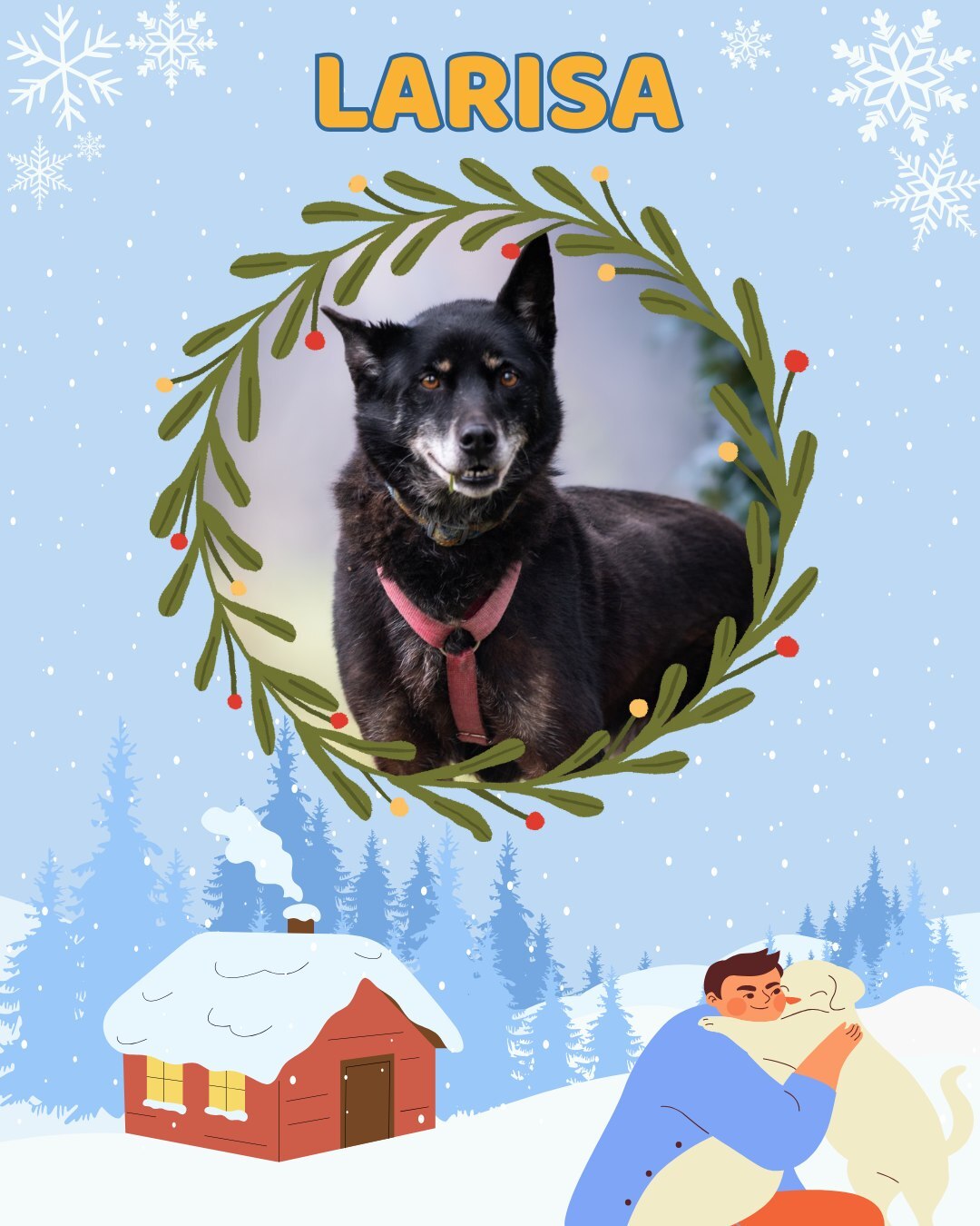 Przezimuj bezdomniaka 2026