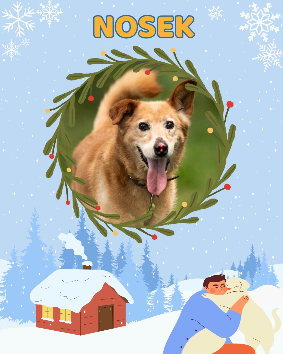 Przezimuj bezdomniaka 2026