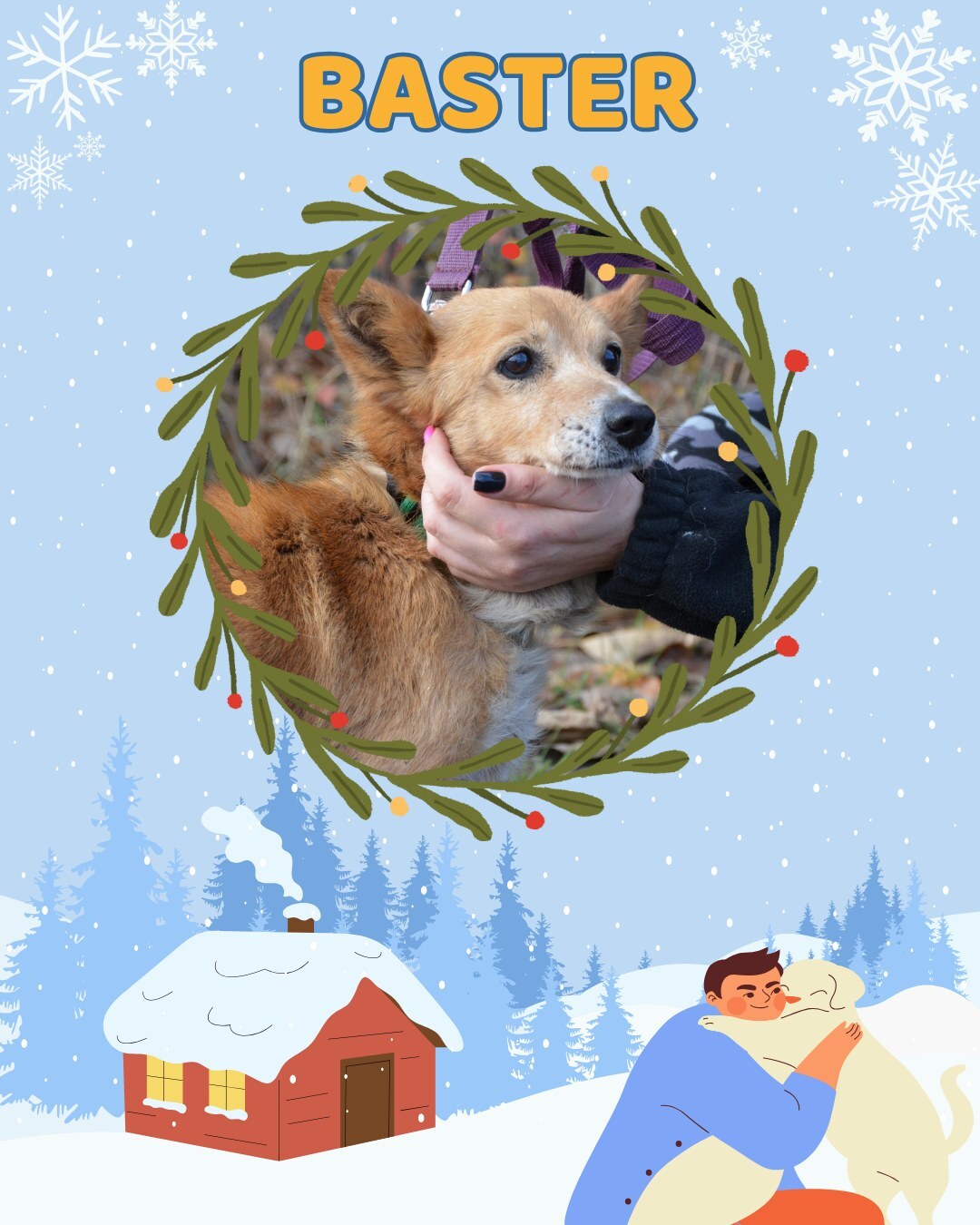 Przezimuj bezdomniaka 2026