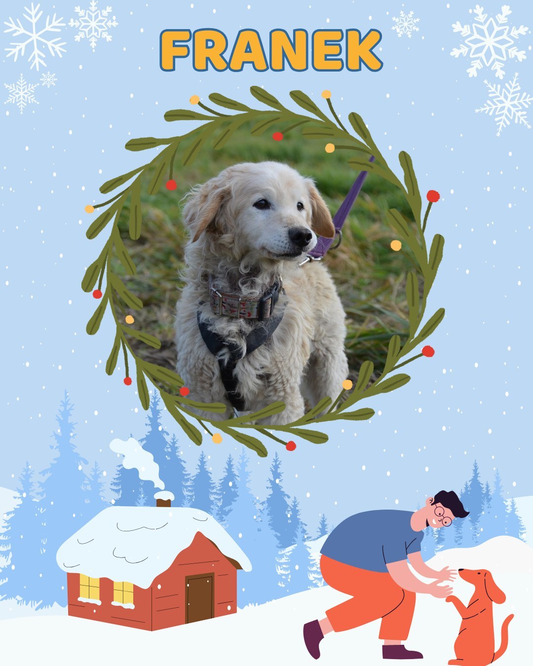 Przezimuj bezdomniaka 2026