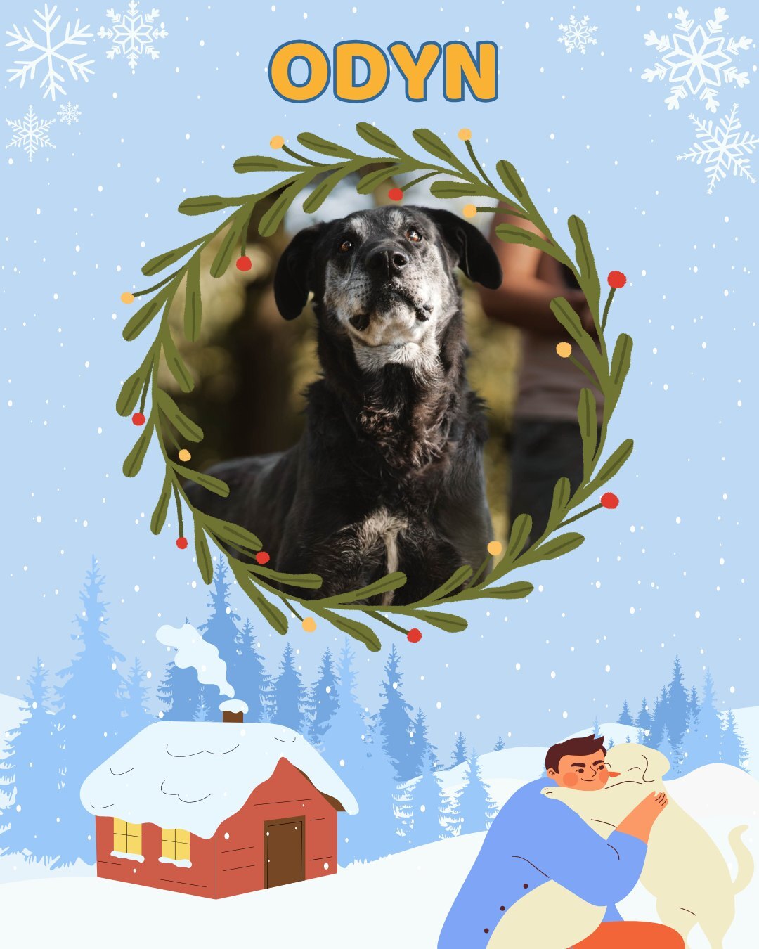 Przezimuj bezdomniaka 2026