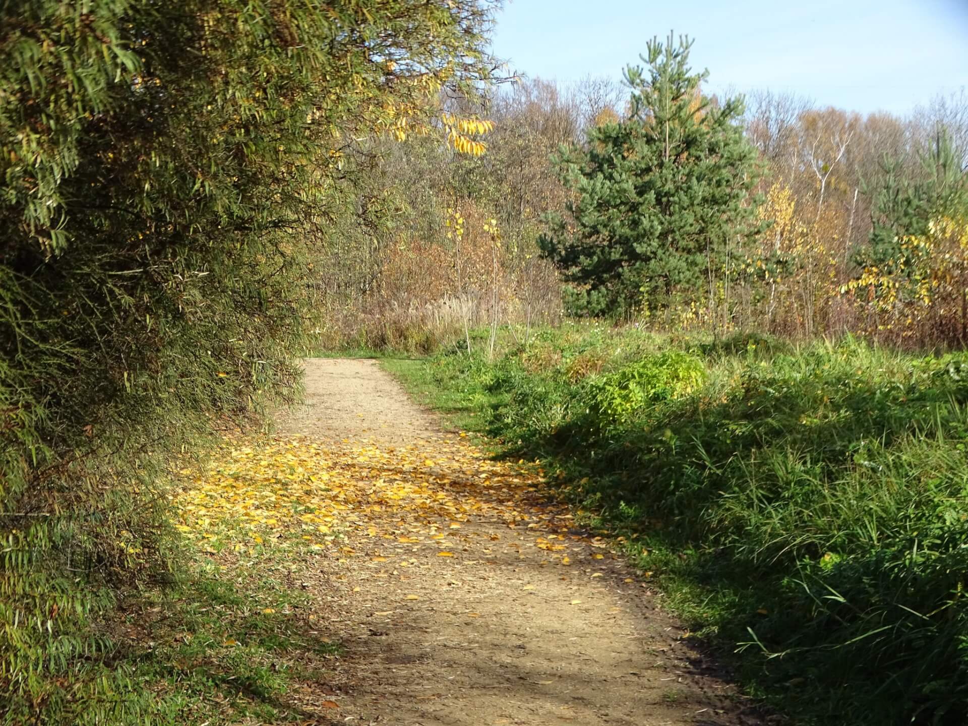 Śląski Ogród Botaniczny w Radzionkowie