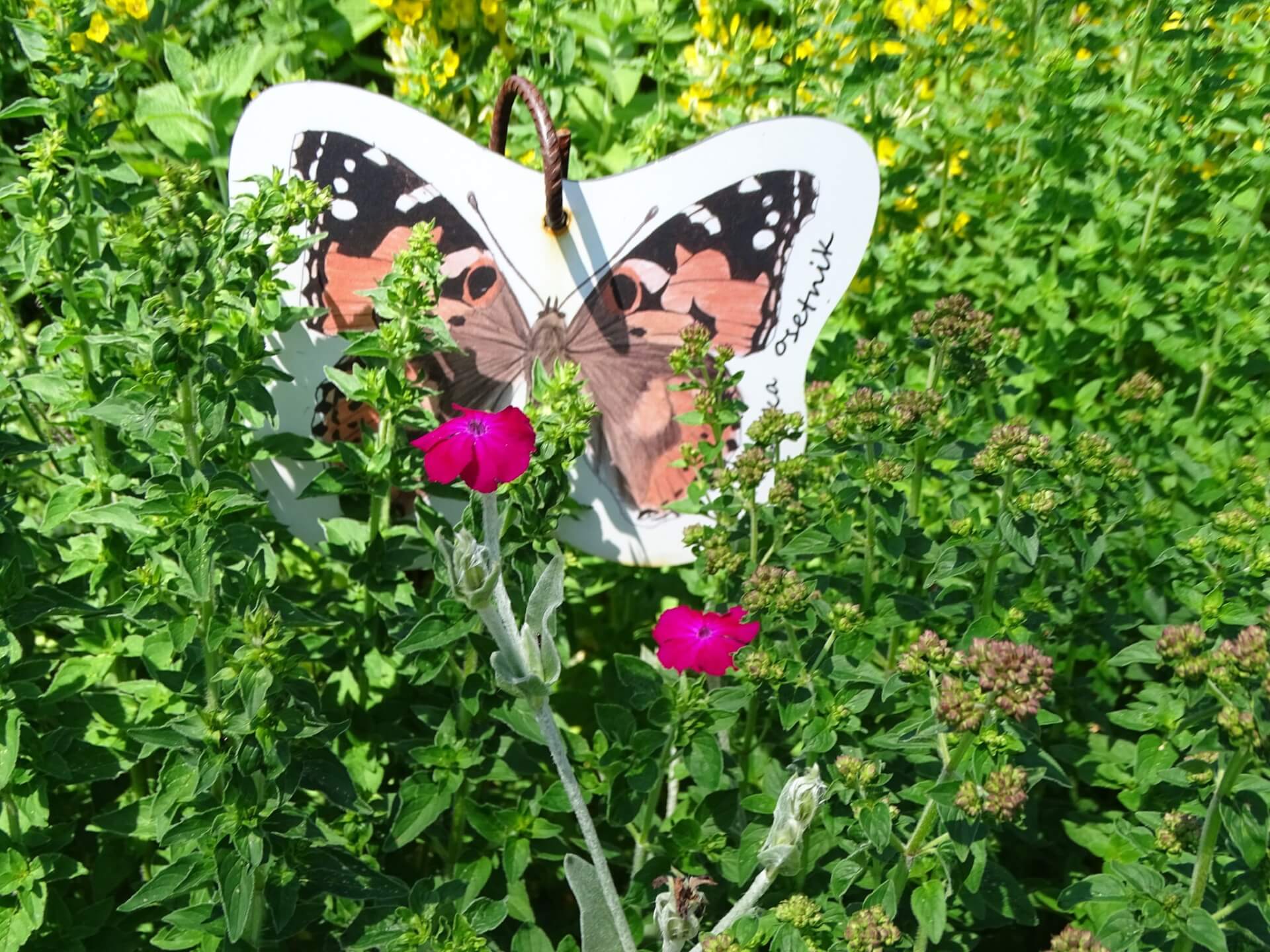 Śląski Ogród Botaniczny w Radzionkowie