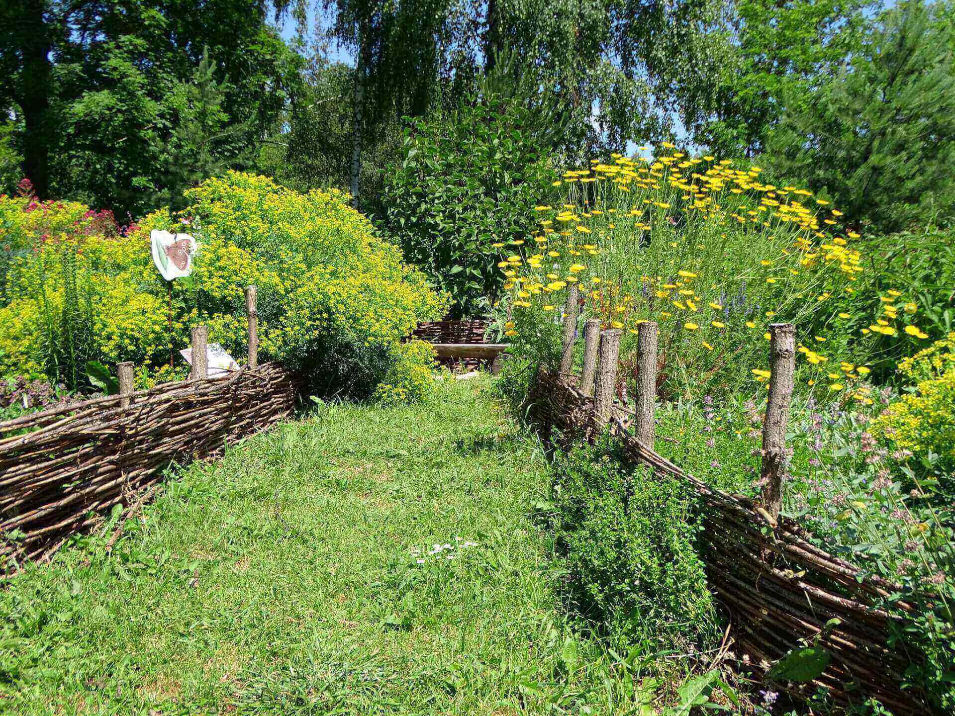 Śląski Ogród Botaniczny w Radzionkowie