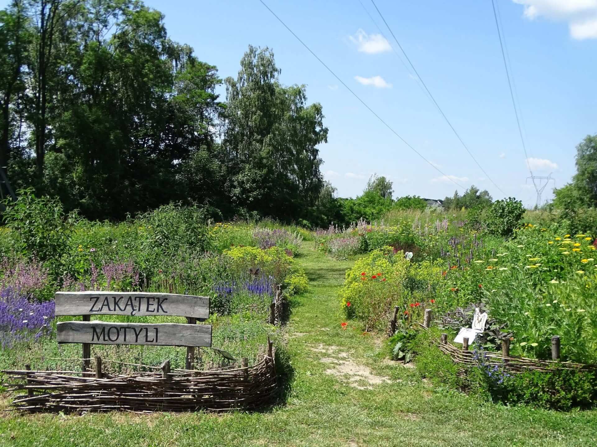 Śląski Ogród Botaniczny w Radzionkowie