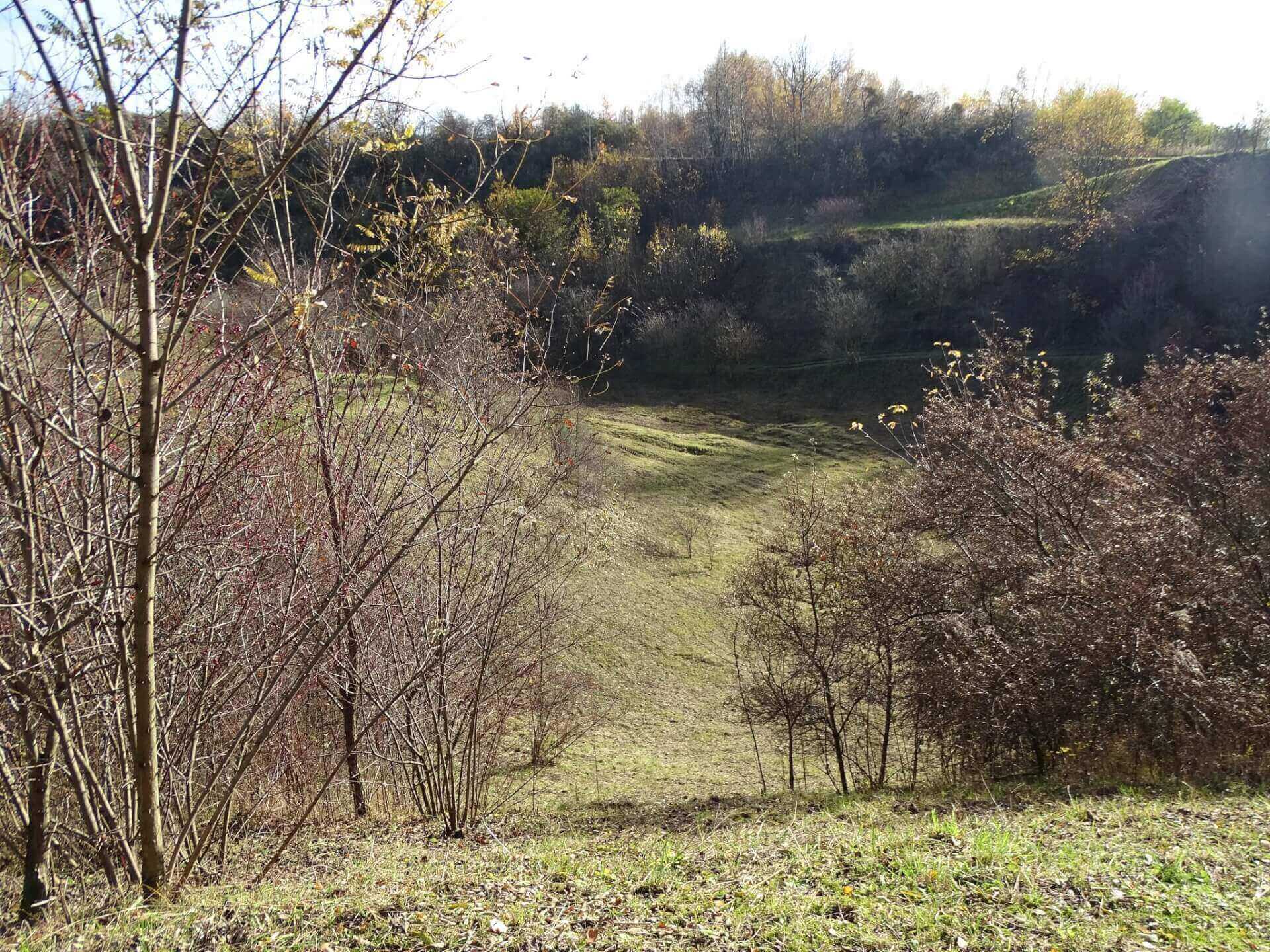 Śląski Ogród Botaniczny w Radzionkowie