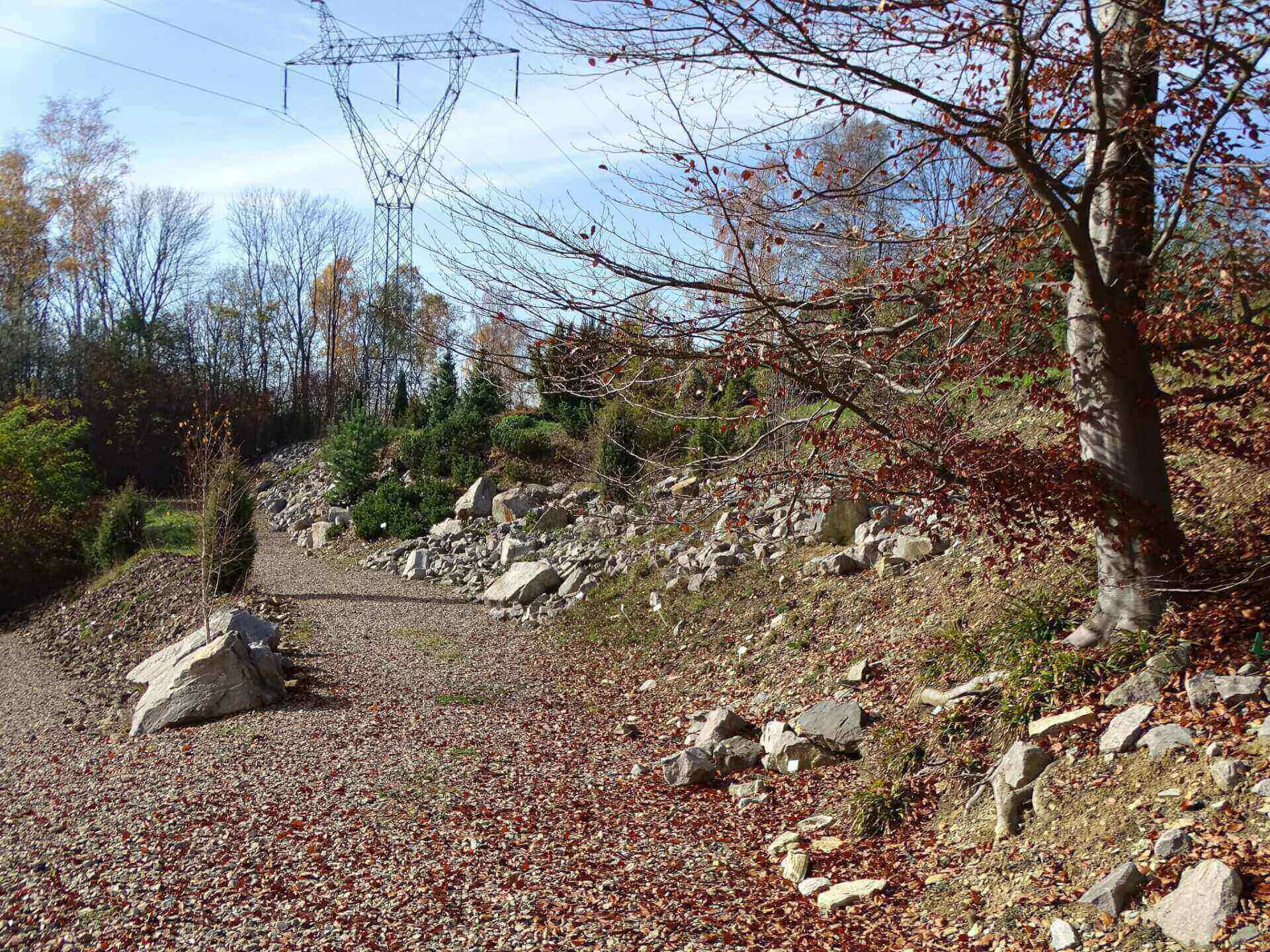 Śląski Ogród Botaniczny w Radzionkowie
