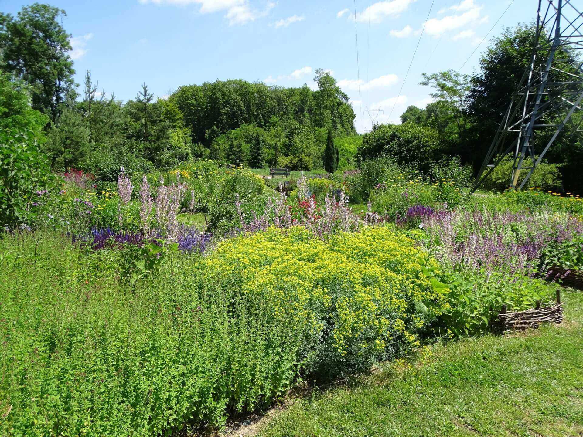 Śląski Ogród Botaniczny w Radzionkowie