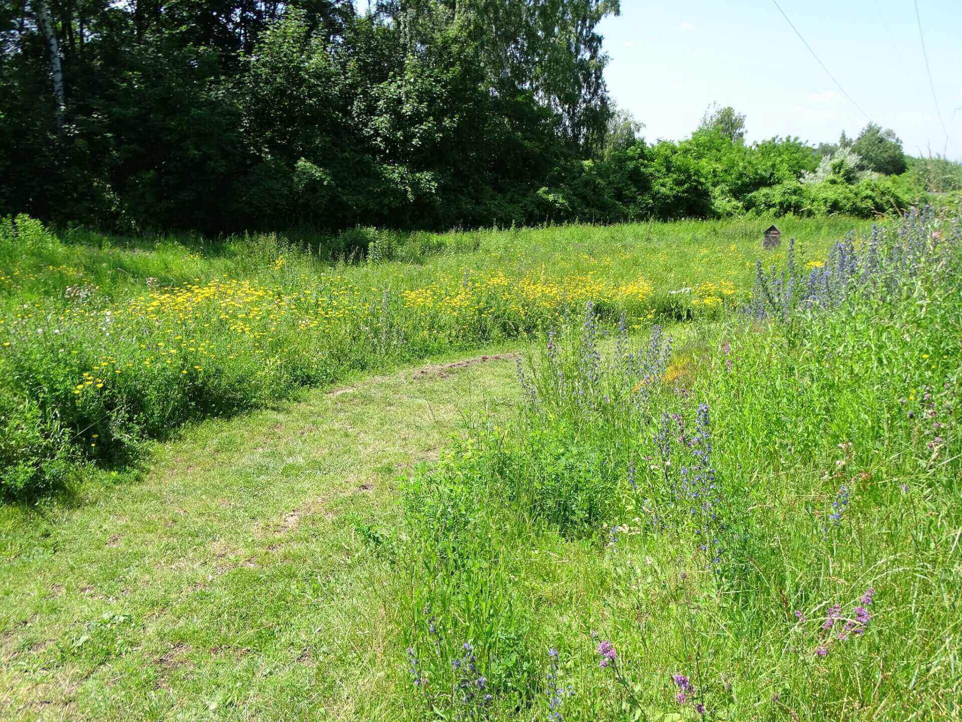 Śląski Ogród Botaniczny w Radzionkowie