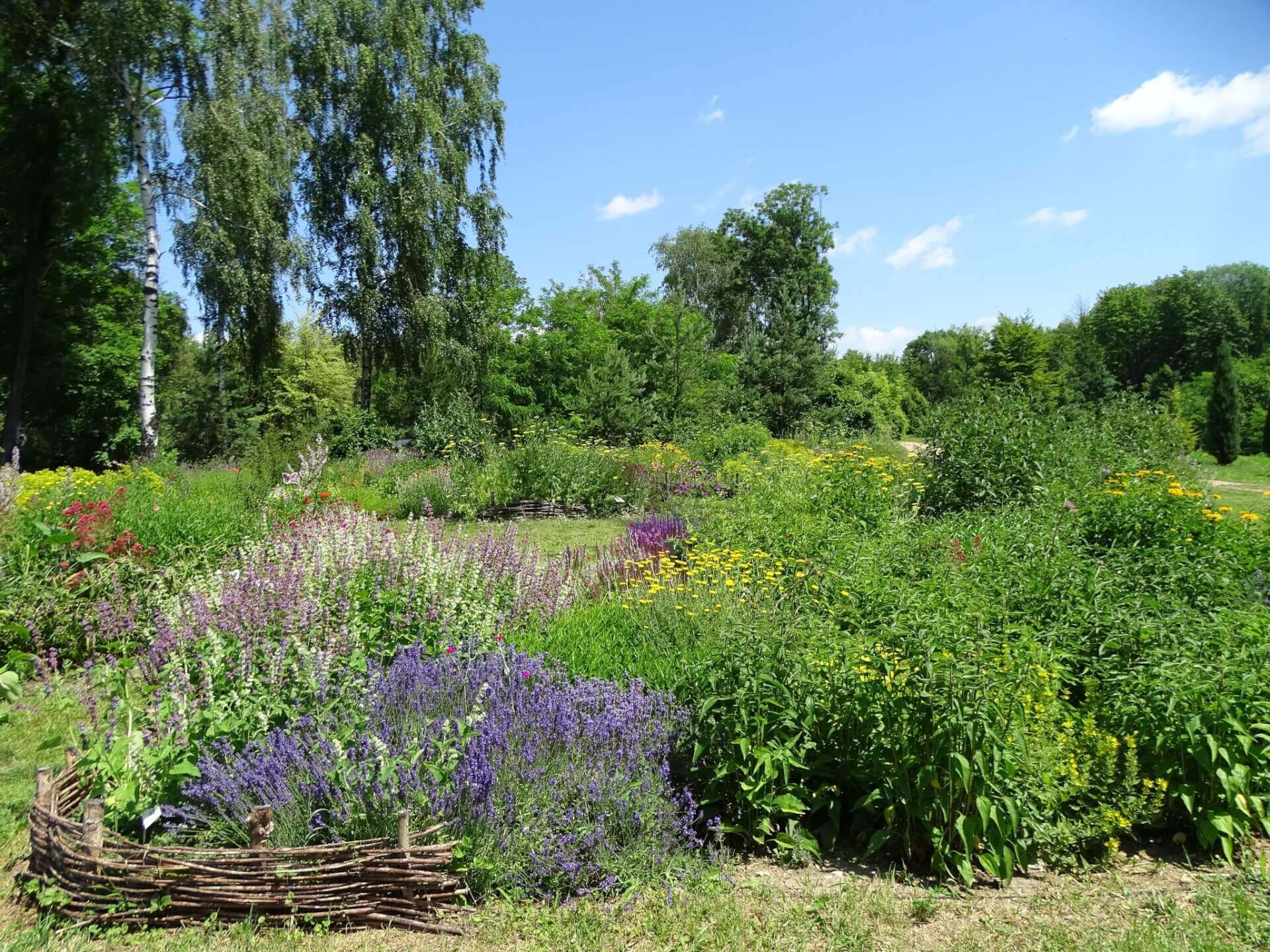 Śląski Ogród Botaniczny w Radzionkowie