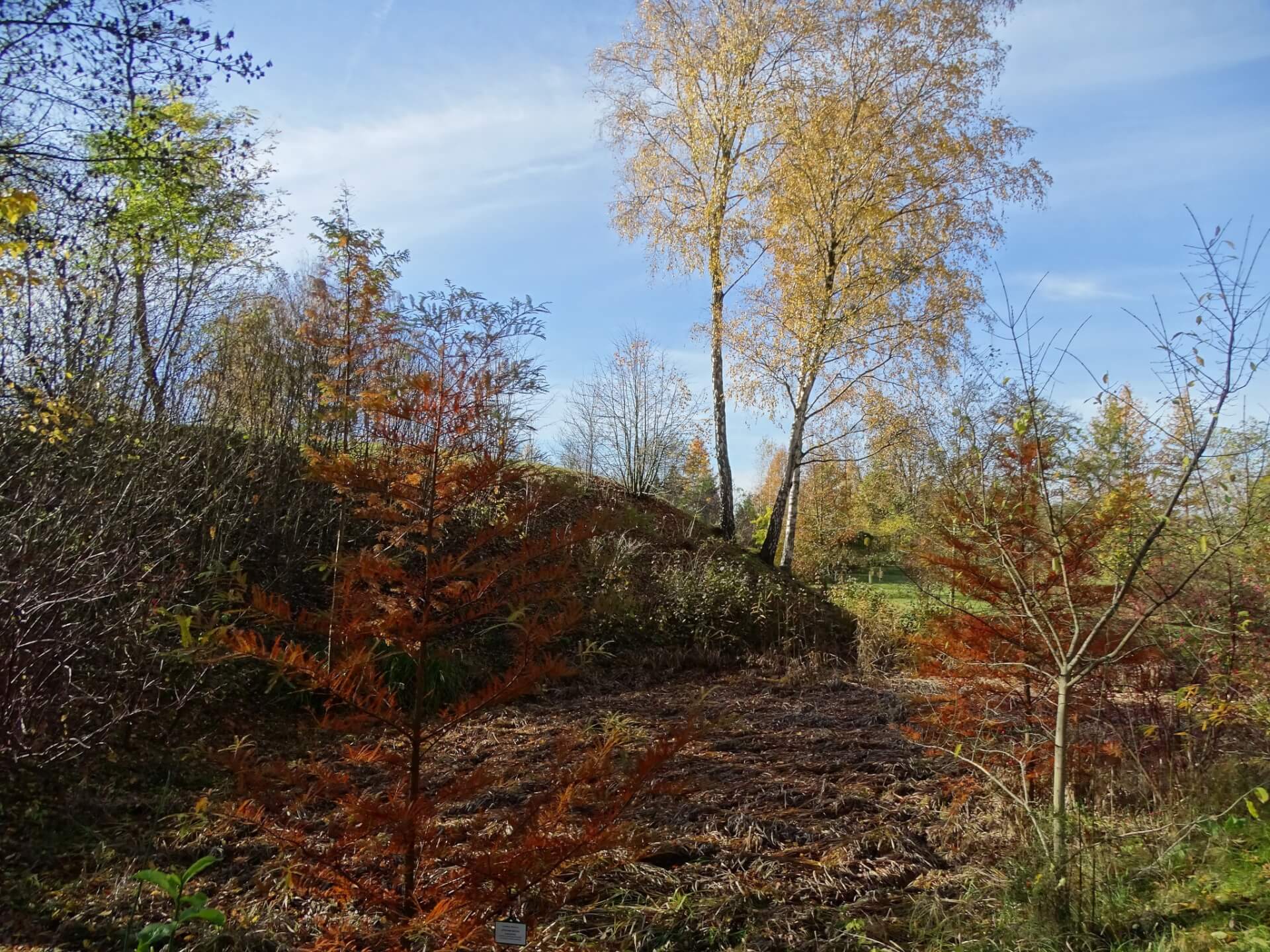 Śląski Ogród Botaniczny w Radzionkowie
