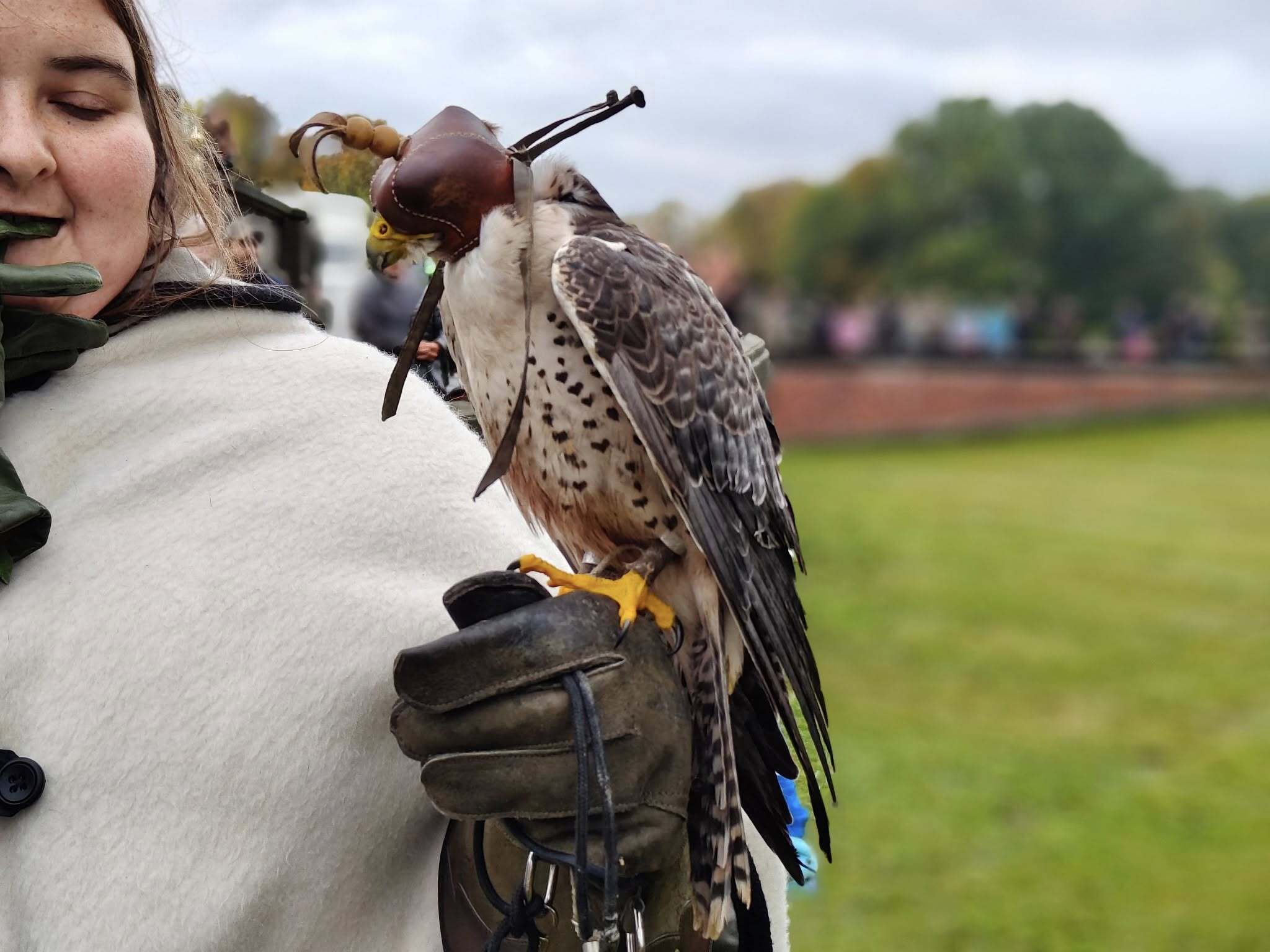 Hubertus 2025 w Świerklańcu