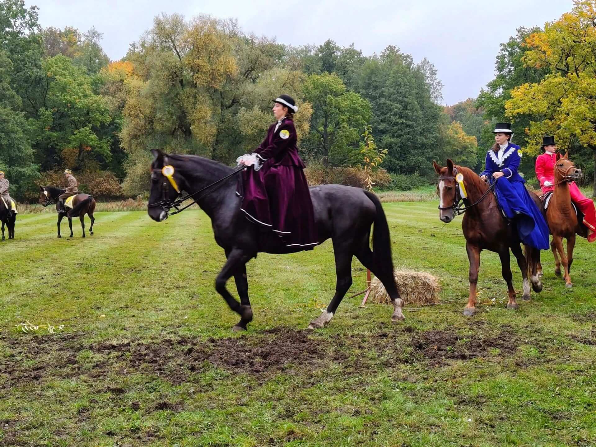 Hubertus 2025 w Świerklańcu