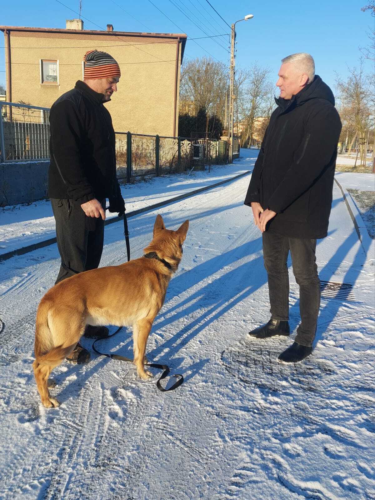 Porzucony w Świerklańcu pies znalazł nowy dom