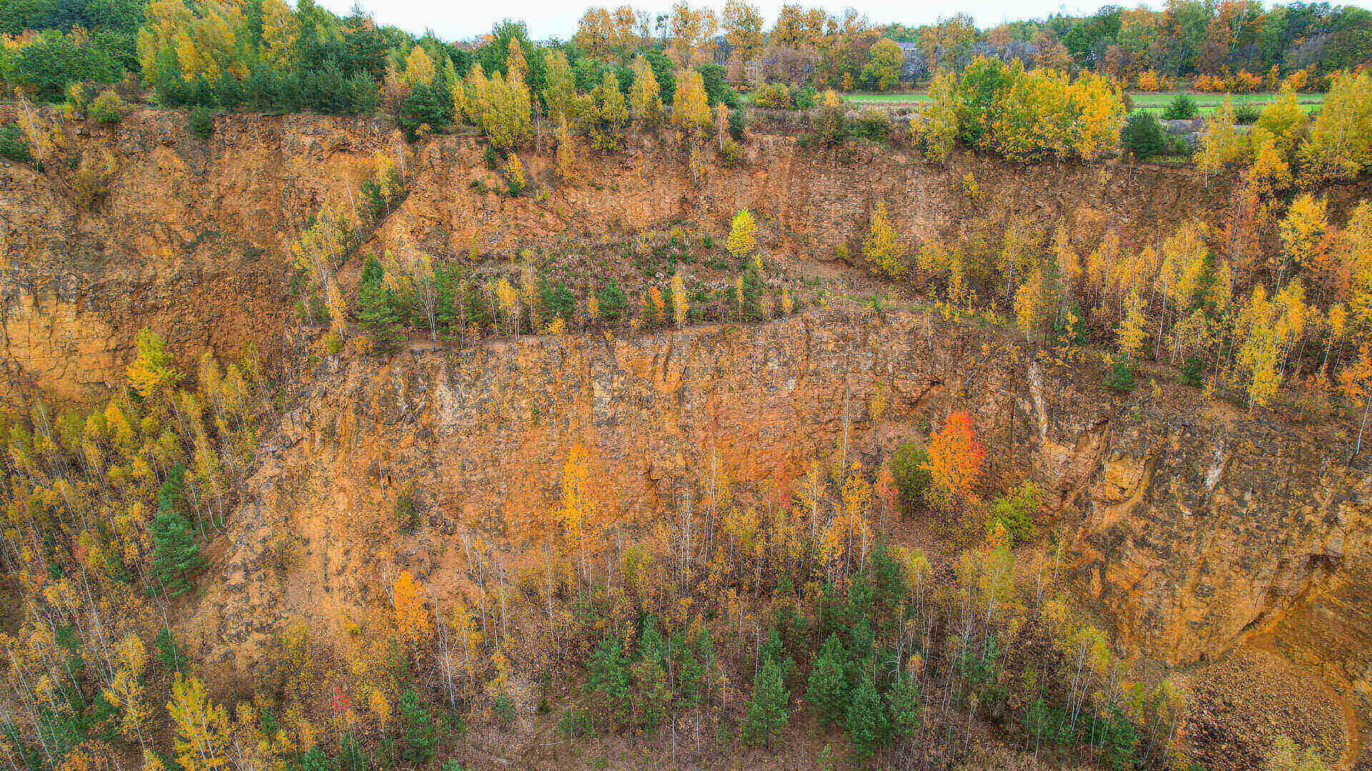 Krajobraz pogórniczy Tarnowskich Gór i Bytomia