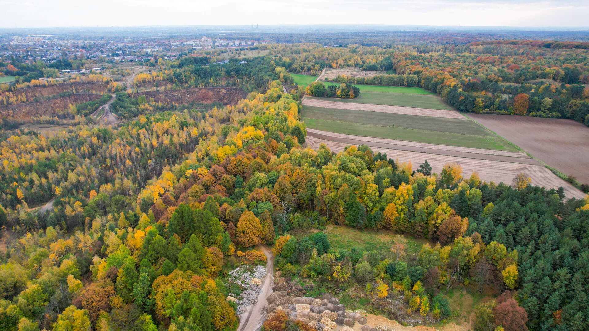 Krajobraz pogórniczy Tarnowskich Gór i Bytomia